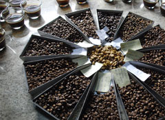 Kaffeesorten
