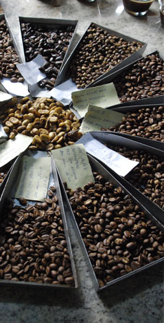 verschiedene Kaffeesorten